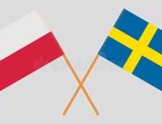 开云官方app入口-瑞典轻取丹麦，莱万关键制胜的简单介绍